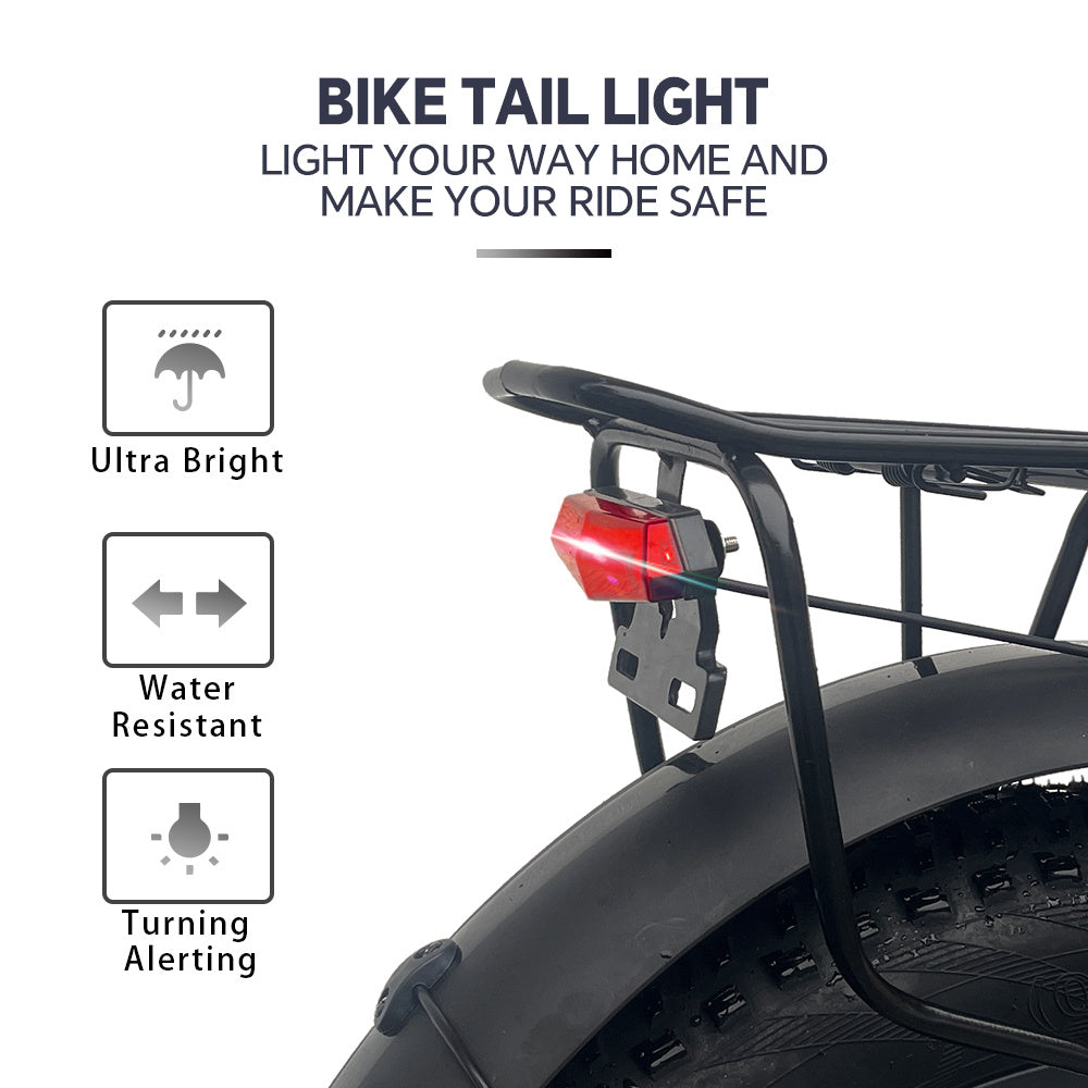 Electric Bicycle