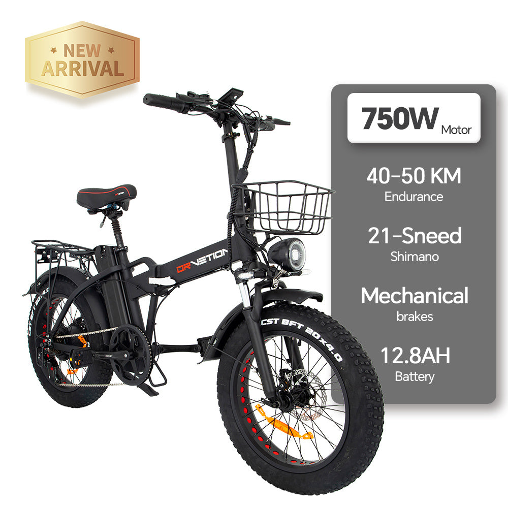 Electric Bicycle